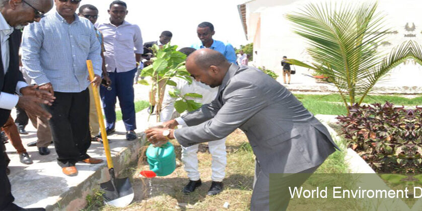 World Environment Day