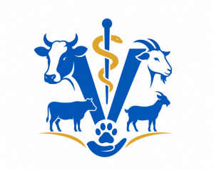 vet